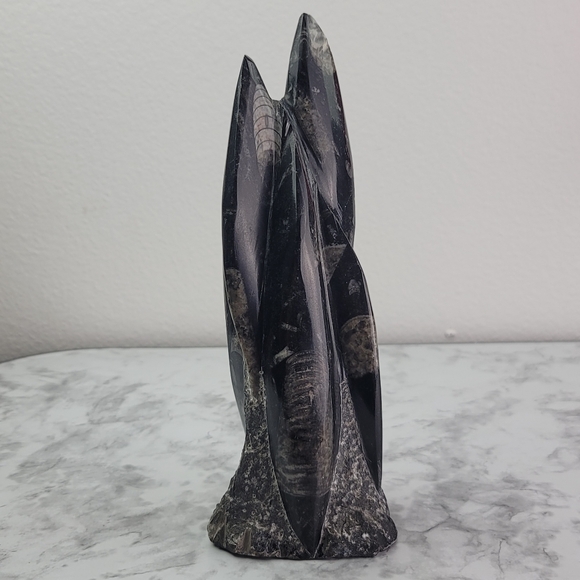 Orthoceras Fossil Home Decor Office Desk Bookend Display Black Gray Accent - Picture 5 of 16
